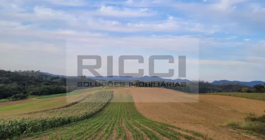 Terreno à venda na Rodovia Dom Paulo Rolim Loureiro, Vila Moraes, Mogi das Cruzes