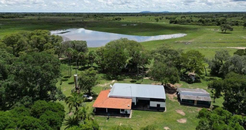 Fazenda à venda na Estrada Rural, Centro, Miranda