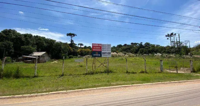 Terreno à venda, 6500 m² por R$ 3.350.000,00 - Cic - Curitiba/PR