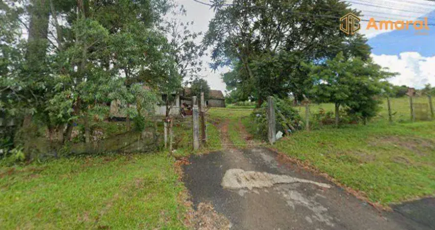 Chácara / sítio com 3 quartos à venda na Rua Francisco Galarda, 1587, Thomaz Coelho, Araucária