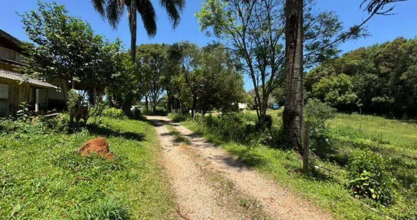 Chácara / sítio com 3 quartos à venda na Rua Francisco Galarda, 1587, Thomaz Coelho, Araucária