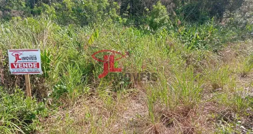 V2451 chacrinha exclusiva de 10.000m² com acesso restrito em km05