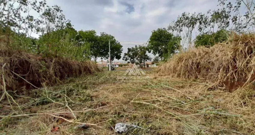 Terreno para alugar, 174 m² por R$ 1.400,00/mês - Cristo Redentor - Ribeirão Preto/SP