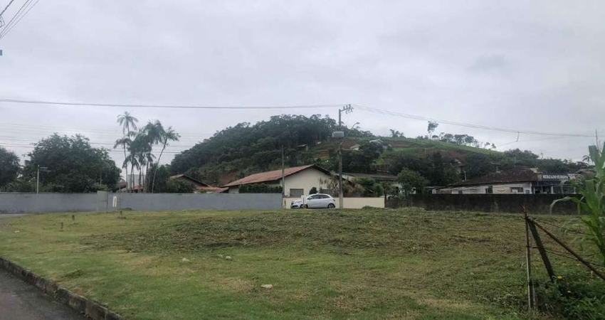 Terreno à Venda em Jaraguá do Sul, 462,02m² de área total - Bairro Rau