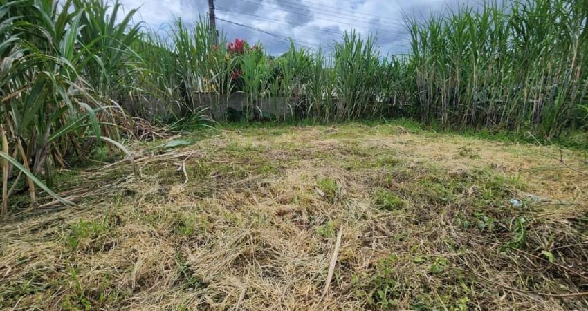 Terreno à venda na Rua Fredolino Martins, Tifa Martins, Jaraguá do Sul