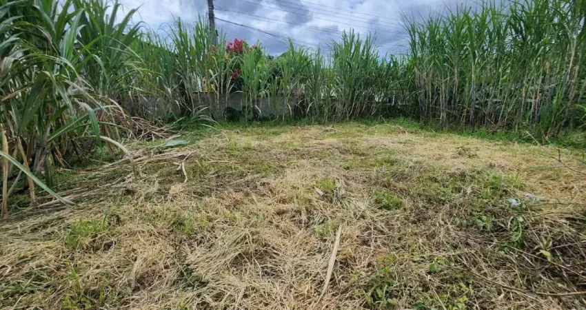 Terreno à venda no Tifa Martins, Jaraguá do Sul 