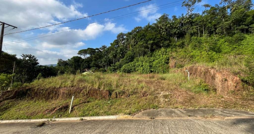 Terreno à venda na Ilha da Figueira, Guaramirim 