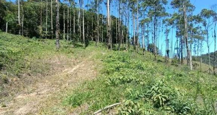 Sitio/Chácara à venda, Jaraguazinho - Jaraguá do Sul/SC