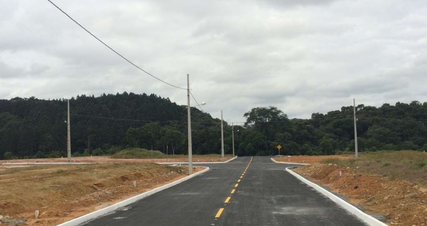 Terreno à venda no Barro Branco, Guaramirim 