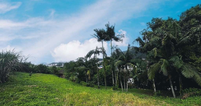 Terreno à venda na Assis Chateaubriand, d4, Ilha da Figueira, Jaraguá do Sul
