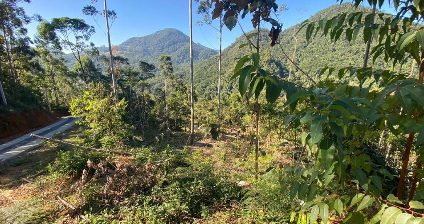 Terreno à venda na Rua Adolfo Antônio Emmendoerfer, Barra do Rio Molha, Jaraguá do Sul