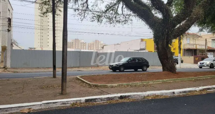 Terreno comercial para alugar na Avenida Paes de Barros, --, Mooca, São Paulo
