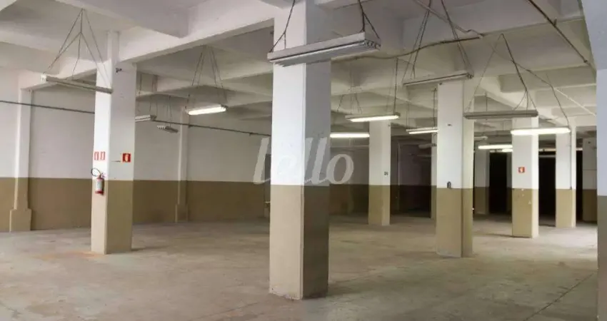 Barracão / Galpão / Depósito para alugar na Rua Zanzibar, --, Casa Verde, São Paulo