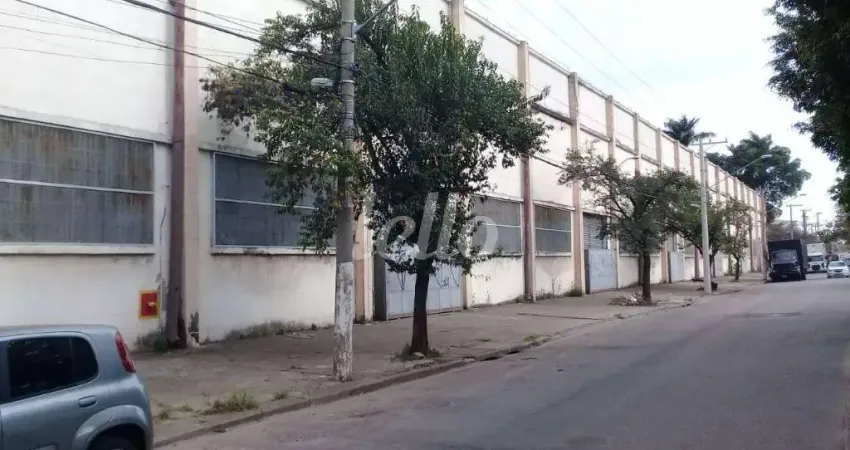 Barracão / Galpão / Depósito para alugar na Avenida Cardeal Santiago Luiz Copello, --, Vila Ribeiro de Barros, São Paulo