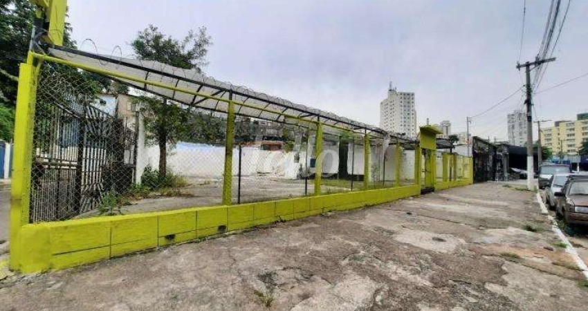 Terreno comercial para alugar na Avenida Engenheiro Caetano Álvares, --, Imirim, São Paulo