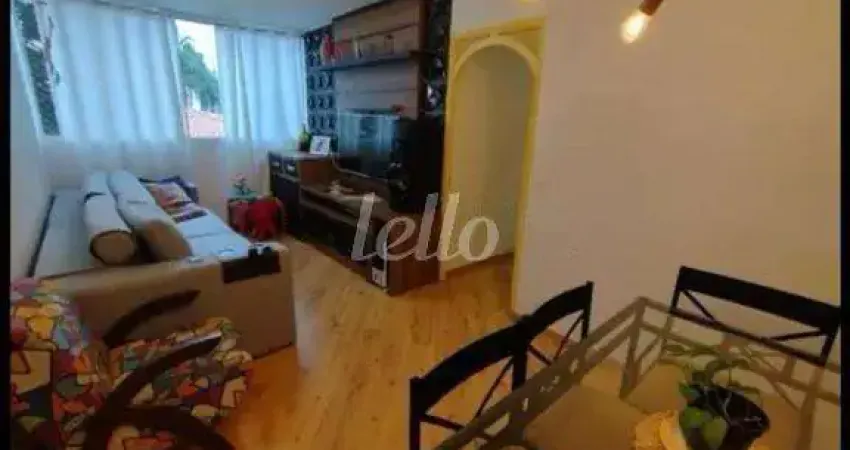Apartamento com 3 quartos para alugar na Rua Fidélis Papini, --, Vila Prudente, São Paulo