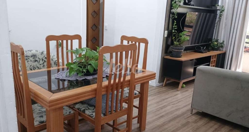 Apartamento com 3 quartos para alugar na Rua Antônio Ribeiro de Morais, --, Vila Carbone, São Paulo