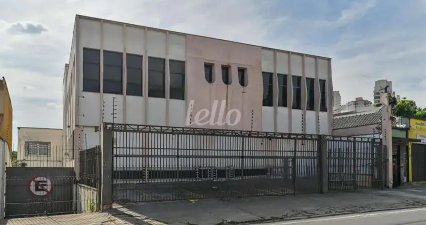 Prédio com 8 salas para alugar na Rua Mandioré, --, Vila Formosa, São Paulo