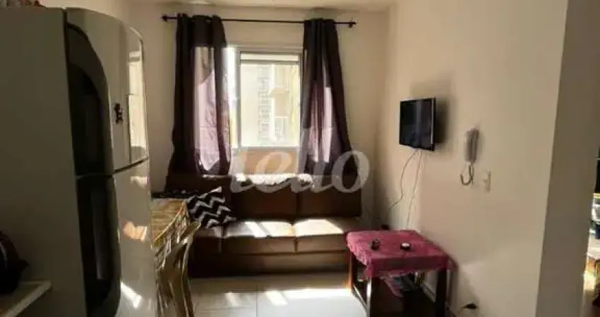 Apartamento com 1 quarto para alugar na Avenida Professor Luiz Ignácio Anhaia Mello, --, Vila Graciosa, São Paulo