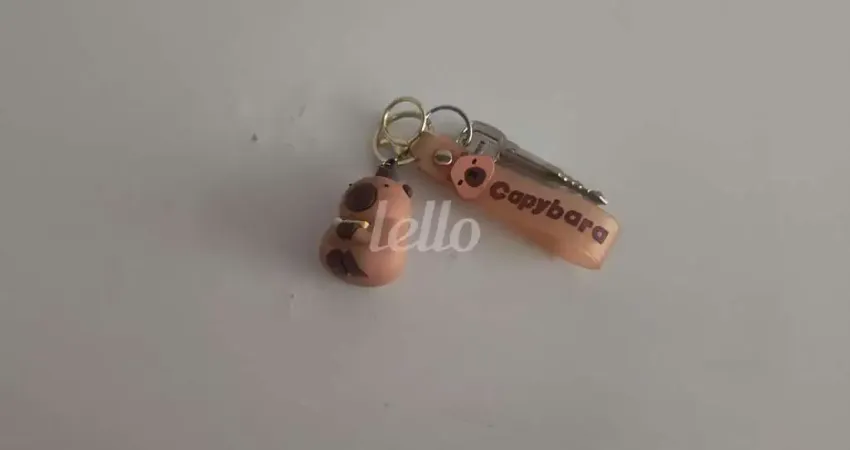 Apartamento com 2 quartos para alugar na Rua Hipódromo, --, Brás, São Paulo