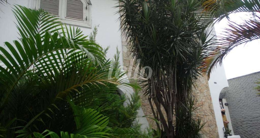 Casa comercial com 7 salas à venda na Rua Dom Andrés Lamas, 185, Tatuapé, São Paulo