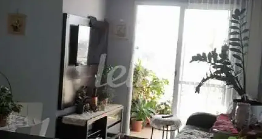Apartamento com 3 quartos à venda na Rua Domingos Afonso, 460, Vila Santa Clara, São Paulo