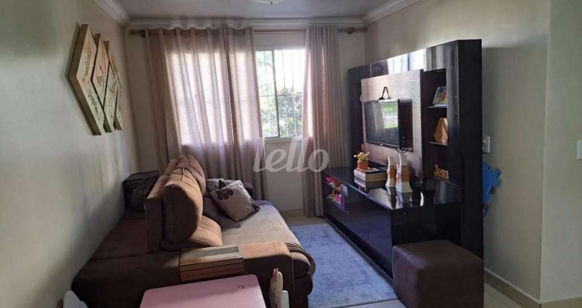 Apartamento com 2 quartos à venda na Rua Pedro Brasil Bandecchi, 175, Vila Amélia, São Paulo
