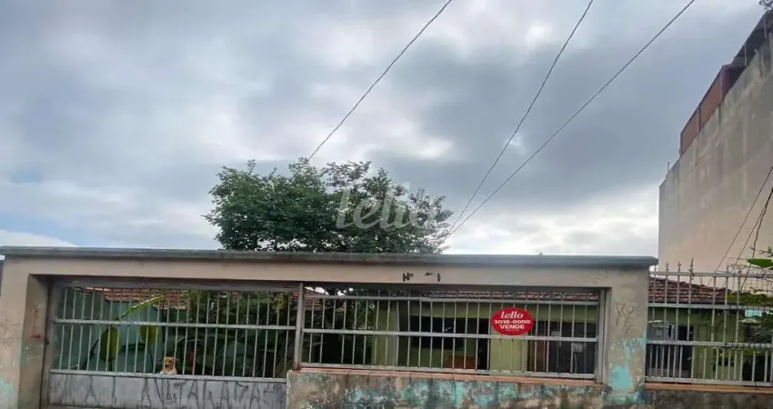 Terreno à venda na Rua das Hortências, 1167, Vila Helena, Santo André