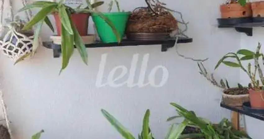 Apartamento com 3 quartos à venda na Rua Água Rasa, 83, Vila Regente Feijó, São Paulo