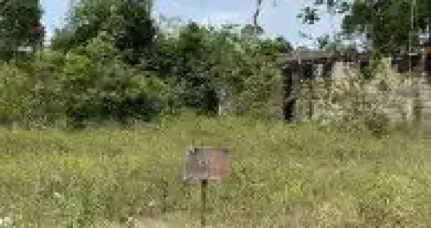 Terreno no Jardim Coronel em Itanhaém, localizado no lado serra em rua de terra.