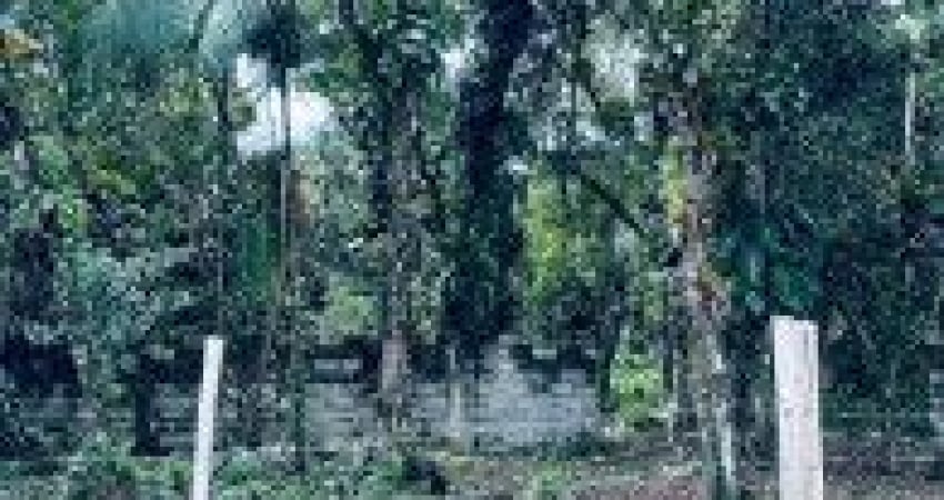 Terreno de chácara no bairro Chácara Palmeiras, em Itanhaém - sendo lado serra, em rua de terra.