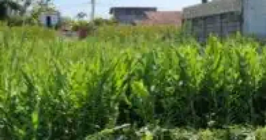 Terreno no bairro Bopiranga, em Itanhaém - sendo lado praia, em rua de terra.