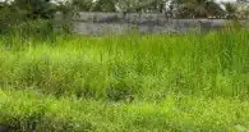 Terreno no bairro Palmeiras, em Itanhaém - localizado no lado serra, em rua de terra.