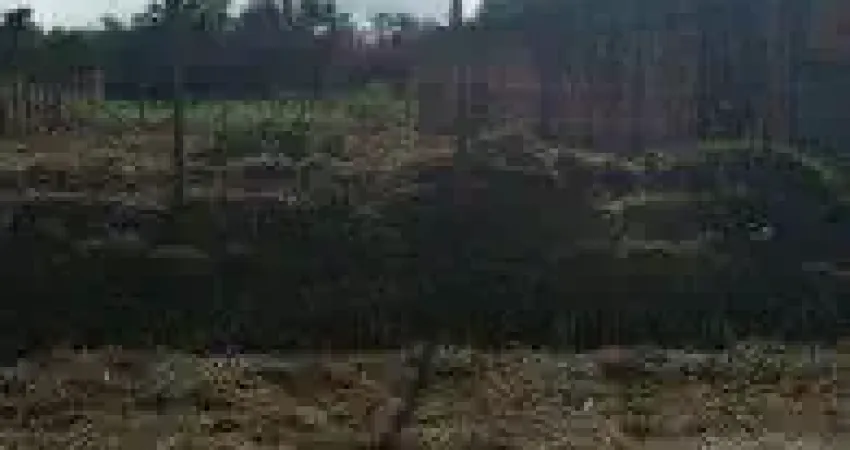 Terreno localizado no bairro Estância dos Eucaliptos, em Peruíbe - lado praia, murado e cercado.