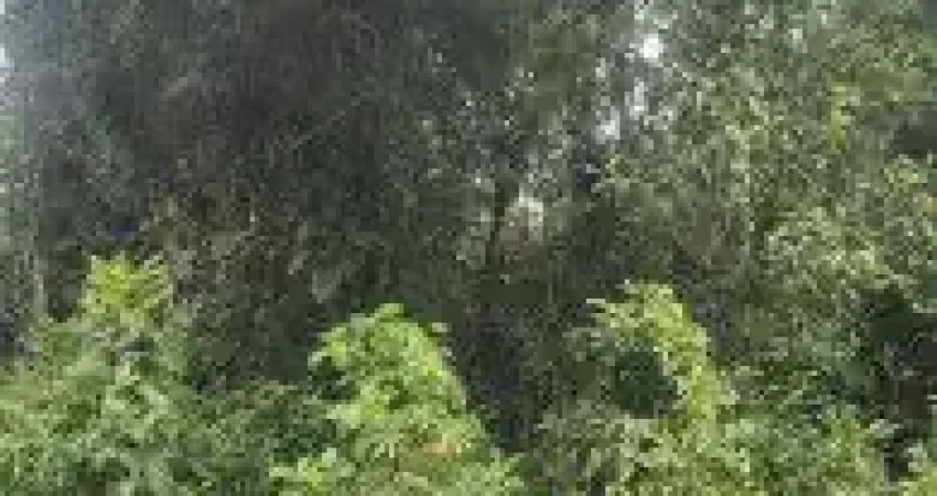 Terreno localizado no bairro Parque Fluvial em Itanhaém - lado serra, em rua de terra.