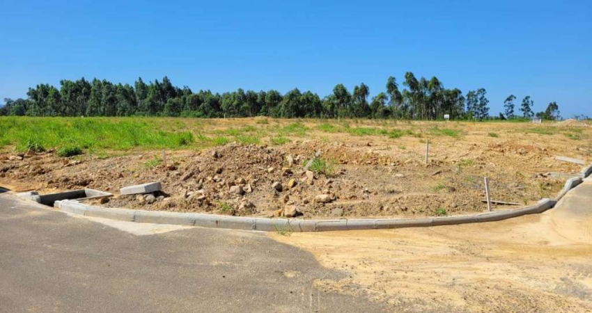 Terreno para Venda em Criciúma, Primeira Linha