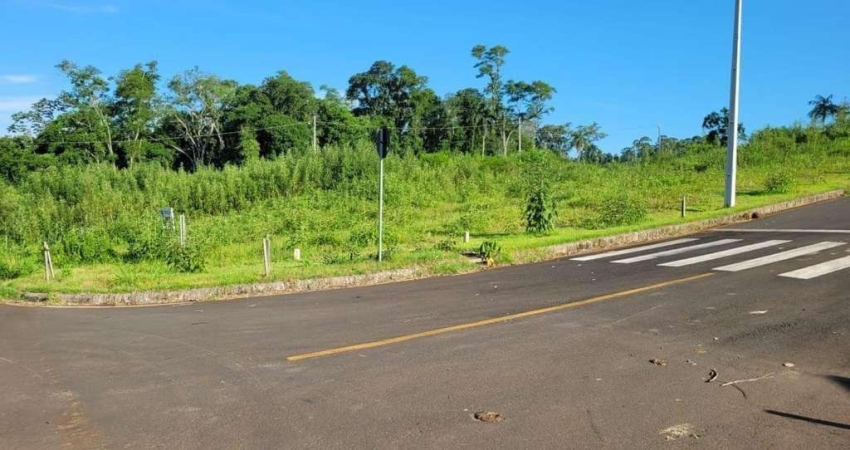 Terreno no bairro Caravaggio em Nova Veneza - Construa já