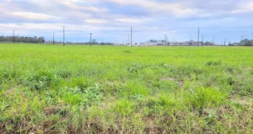 Terreno para Venda em Forquilhinha, Luiz Tiscoski