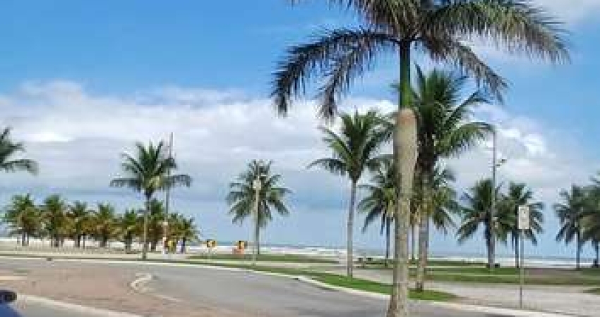 Apartamento com 1 quarto para alugar na Avenida Presidente Castelo Branco, 9080, Vila Mirim, Praia Grande