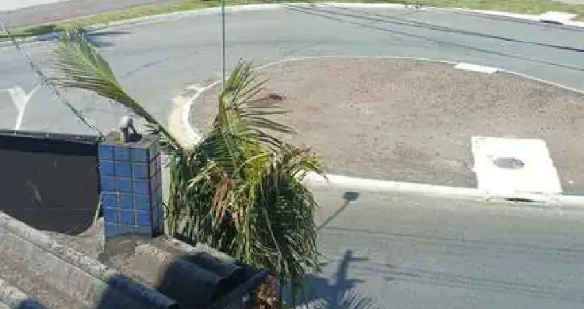 Apartamento com 1 quarto para alugar na Avenida Presidente Castelo Branco, 9080, Vila Mirim, Praia Grande