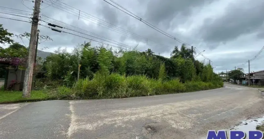 Area a venda em ubatuba, bairro lagoinha. com escritura. 400 mts da praia. excelente oportunidade para investidores.