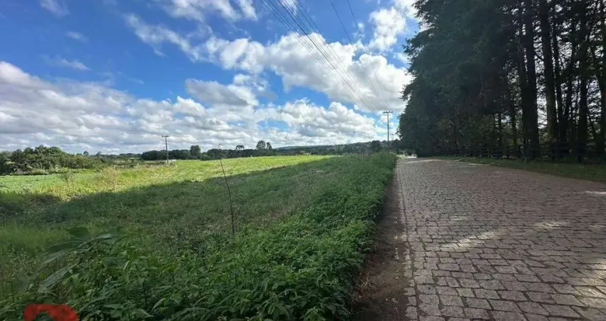 Terreno à venda, 236 m² por R$ 395.000,00 - Rodeiozinho - Balsa Nova/PR