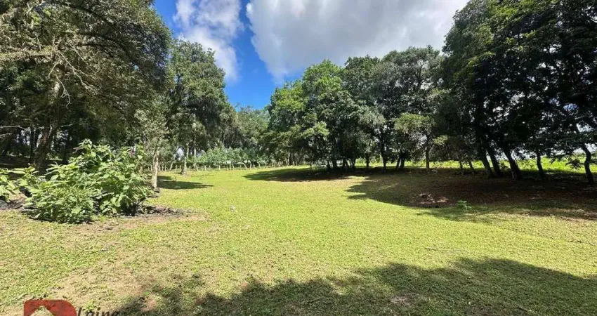 Chácara com 1 dormitório à venda, 11000 m² por R$ 850.000,00 - Campo Do Meio - Campo Largo/PR