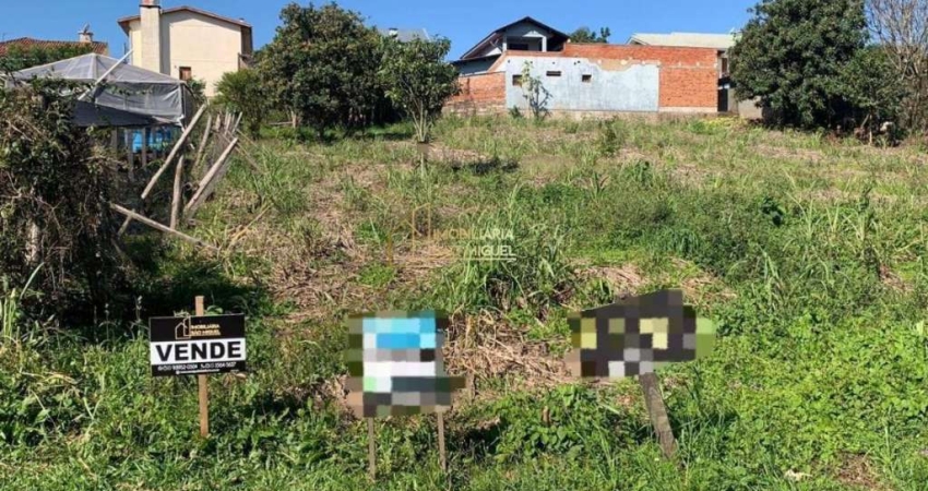 Terreno à venda na Avenida Florestal, Floresta, Dois Irmãos