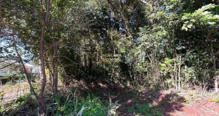 Terreno à Venda no Bairro Vale Esquerdo – Dois Irmãos/RS