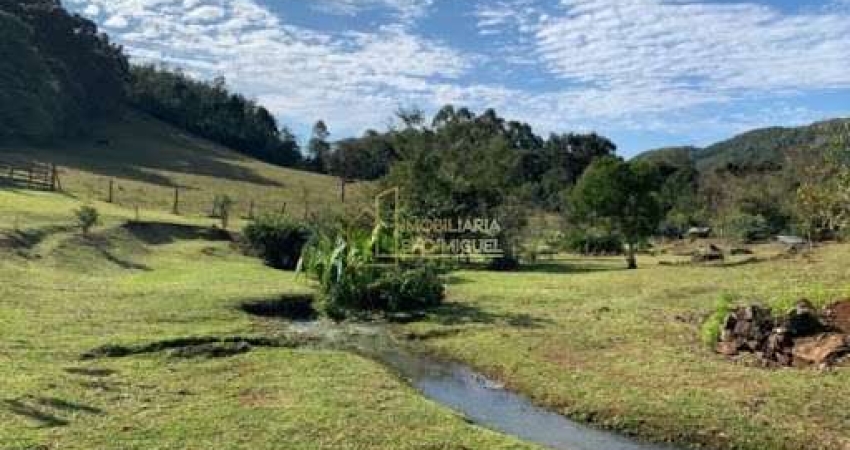 Sítio, 50000m², à venda em Morro Reuter, Linha Cristo Rei