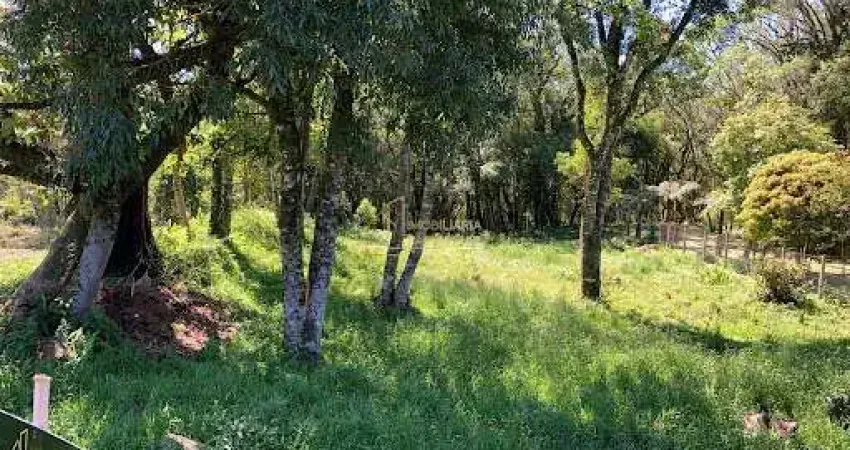 Terreno à venda na Estrada São José do Herval, Centro, Morro Reuter