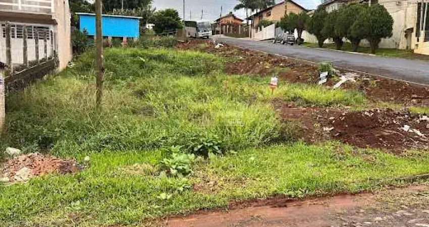 Terreno à venda na Avenida Porto Alegre, Beira Rio, Dois Irmãos