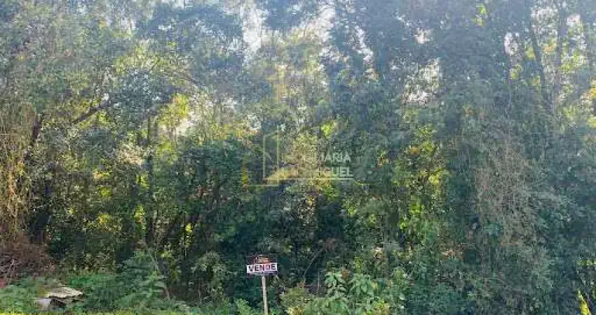 Terreno à venda na Rua Alberto Rubenich, Travessão, Dois Irmãos