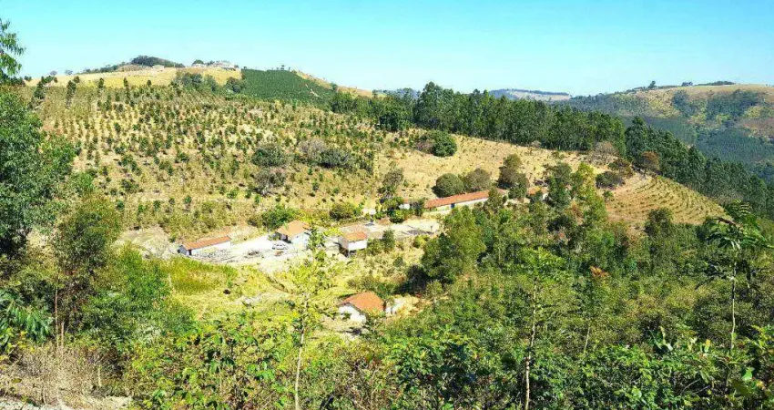 Fazenda à venda,- Bairro Belo Horizonte  - Serra Negra/SP